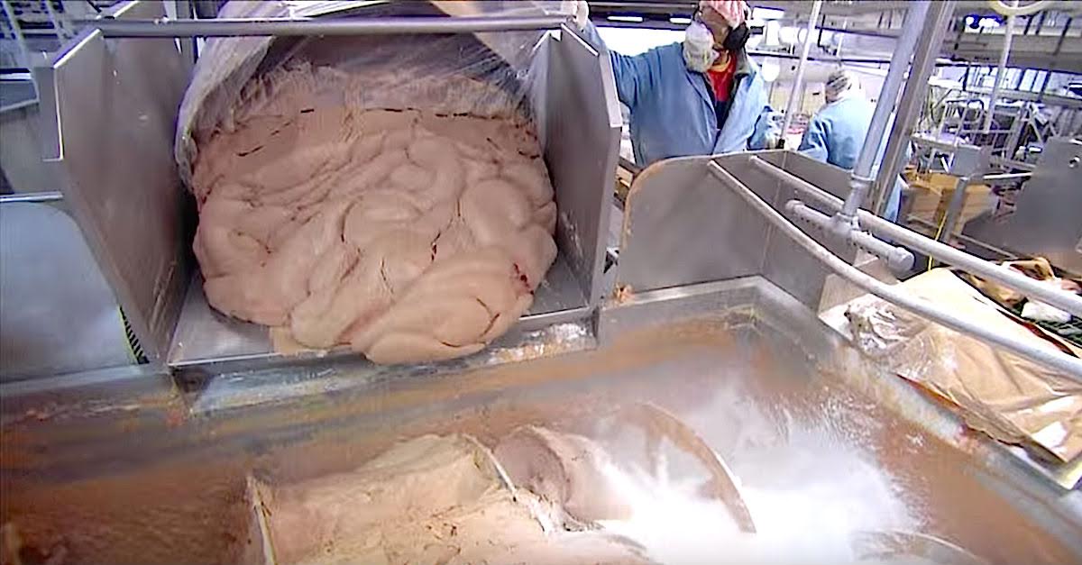 They Put Cameras Inside A Hot Dog Factory. What They Caught The Workers