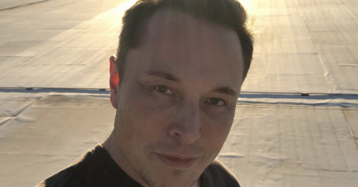 Elon Musk Accidentally Tweets Phone Number | LittleThings.com