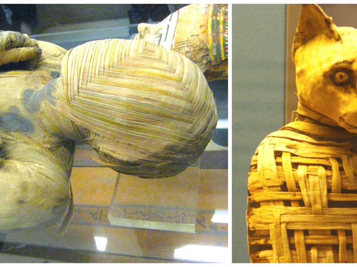 9 Surprising Facts About Mummies 