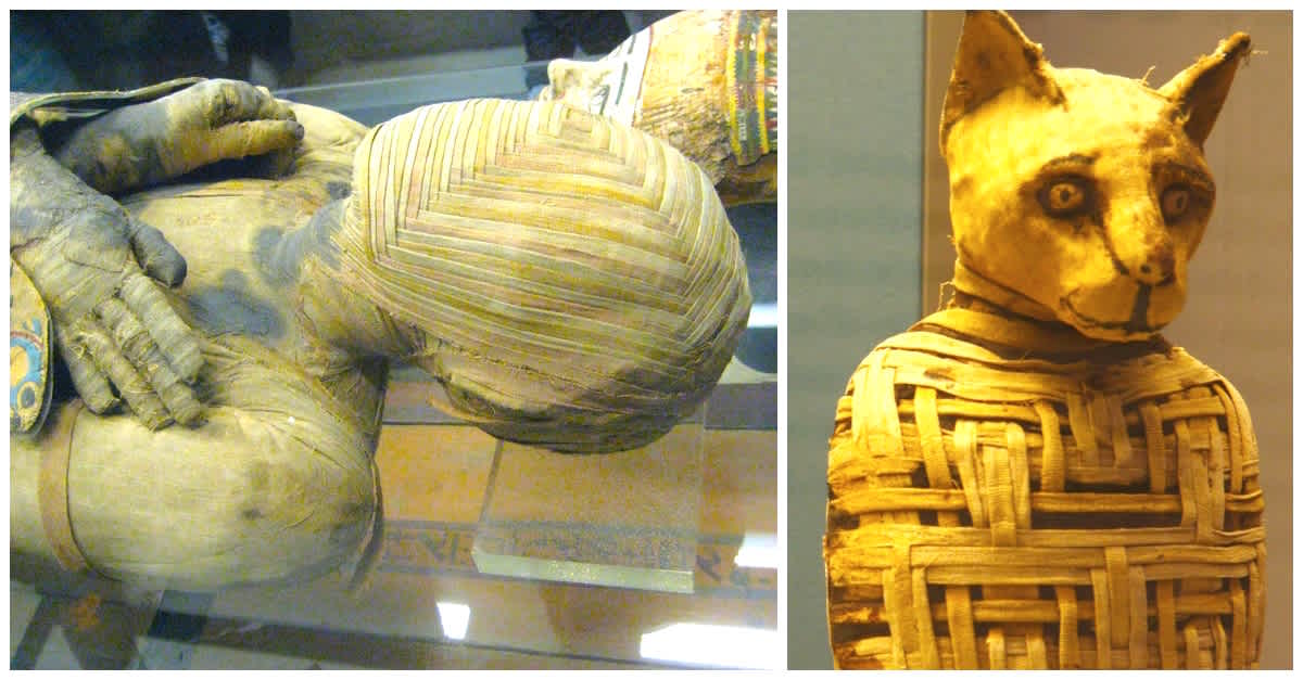 9 Surprising Facts About Mummies | LittleThings.com