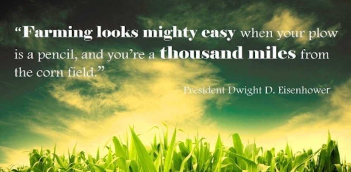 These 7 Quotes Perfectly Capture The Magic Of Farm Life | LittleThings.com