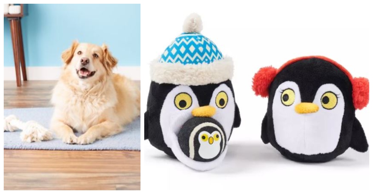 These Are The Best Dog Toys For The 2020 Holiday Season