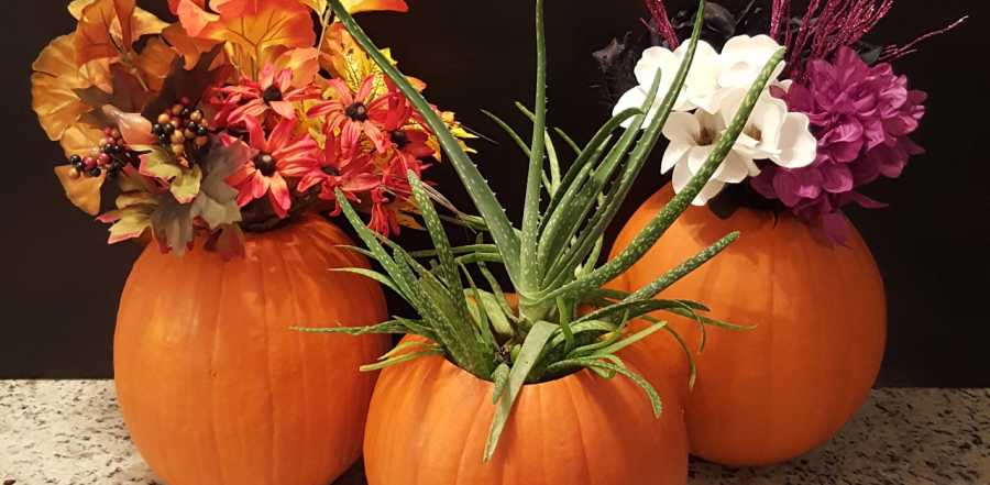 How To Make Your Own Fall Floral Pumpkins At Home | LittleThings.com