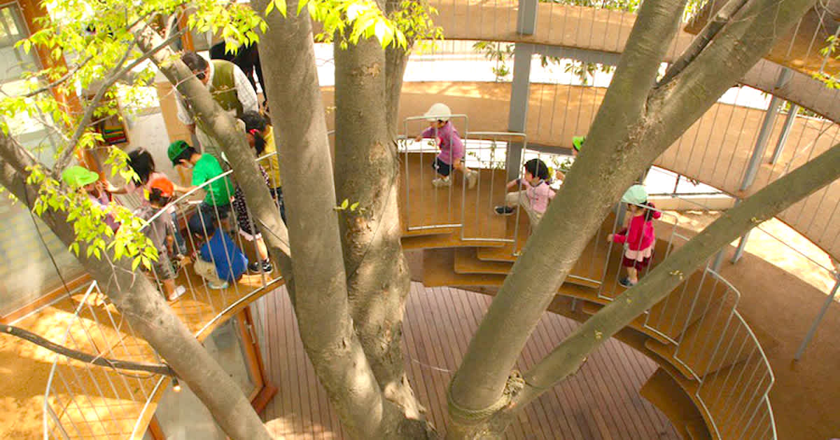Tree In The School These Tiny Kindergartners Attend School In A Tree. The Reason? This Is ...
