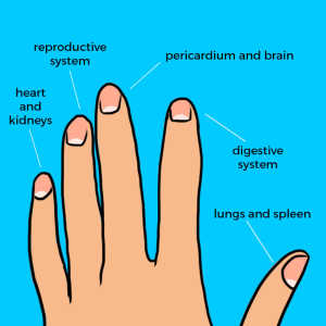 Fingernail Moons Reveal Secrets About Your Health | LittleThings.com