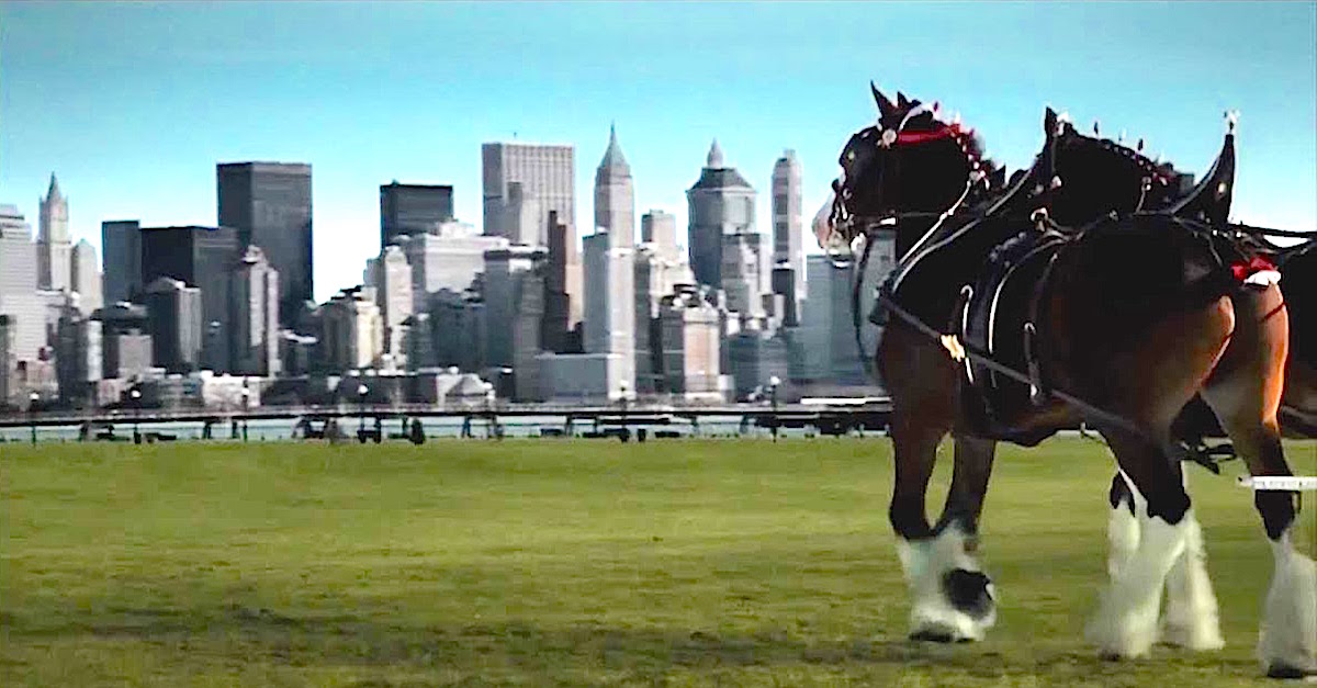 Budweiser Clydesdales Show Respect In Rare 9/11 Commercial