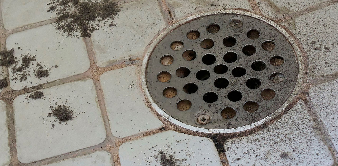 How To Unclog A Shower Drain