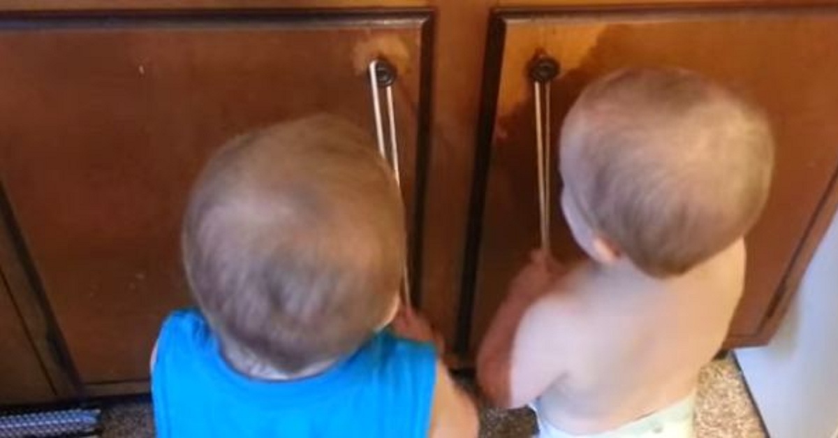 You Won't Believe What These Babies Are Laughing At! They Are Cracking