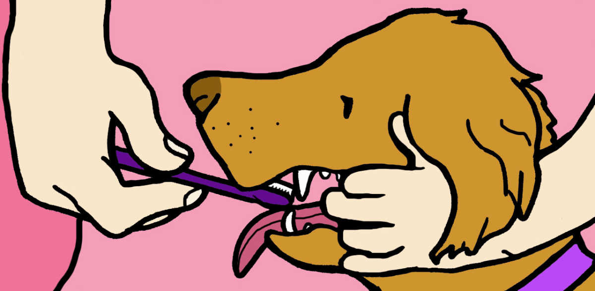 what causes bad breath in puppies