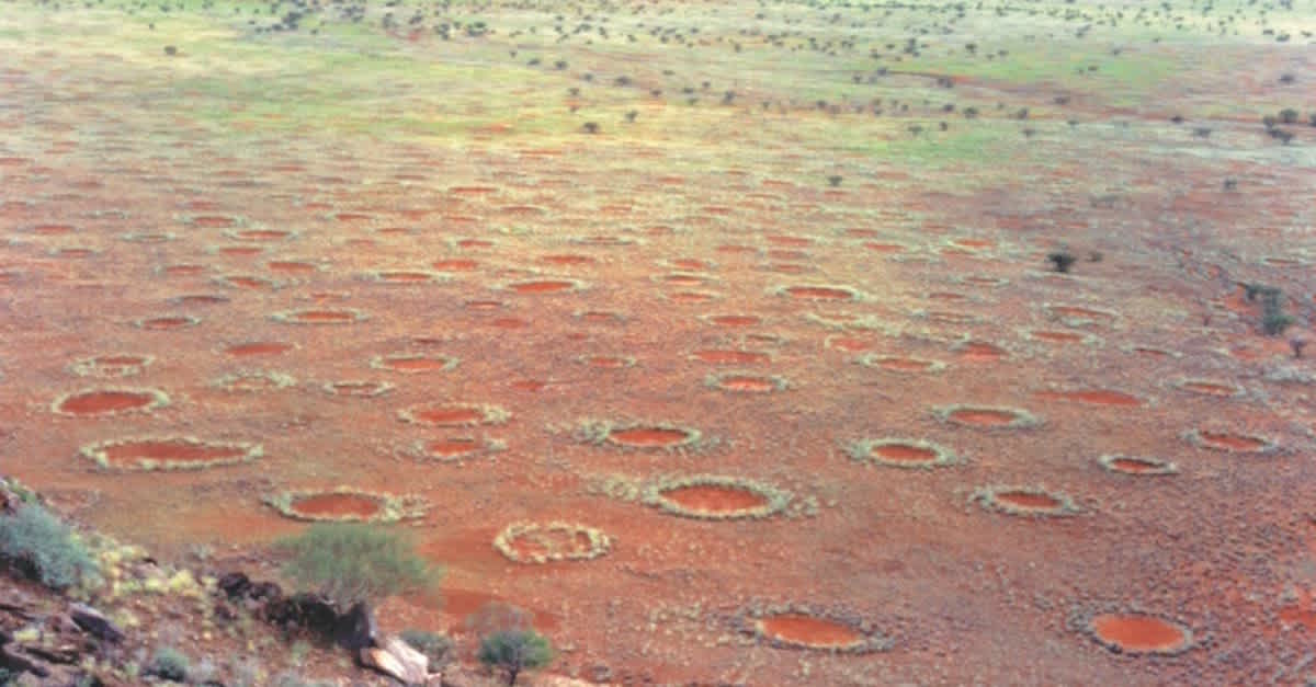 Thousands Of Mysterious Rings Were Just Discovered On Earth. No One Can  Explain Them