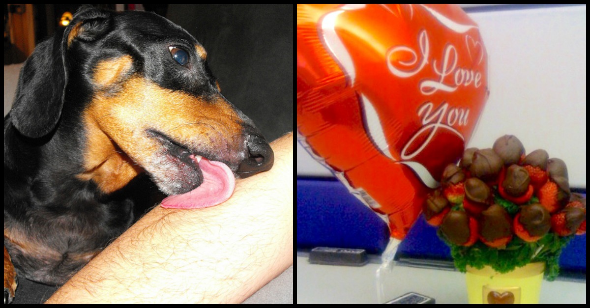 How To Tell Your Dog 'I Love You' In Their Own Language | LittleThings.com