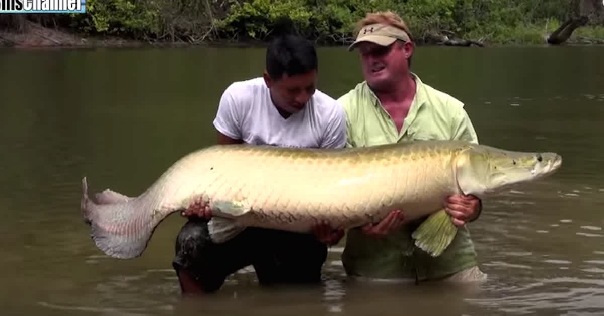 2 Men Go Fishing In The  River, But When They Encounter THIS River  Monster? Freaky!