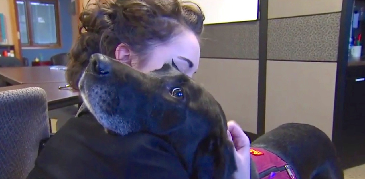 Domestic Violence Therapy Dog Helps Victims Cope