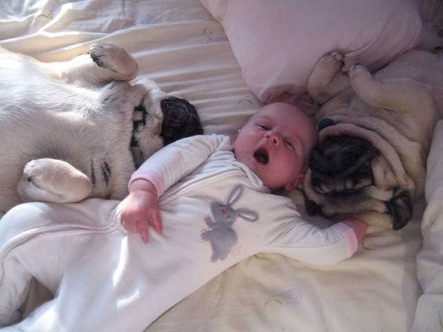 babypuppy10