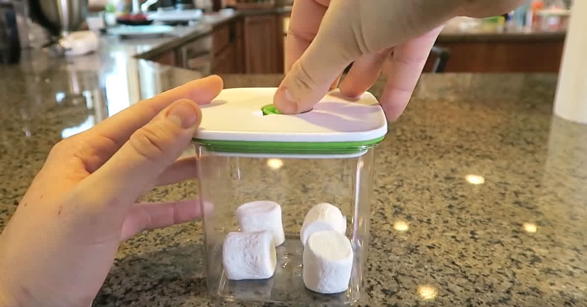 It Looks Like Boring Tupperware, But Keep Your Eyes On The Marshmallows  Inside… So Crazy!