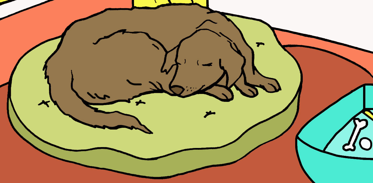 Why do dogs sleep so much and what is normal littlethings