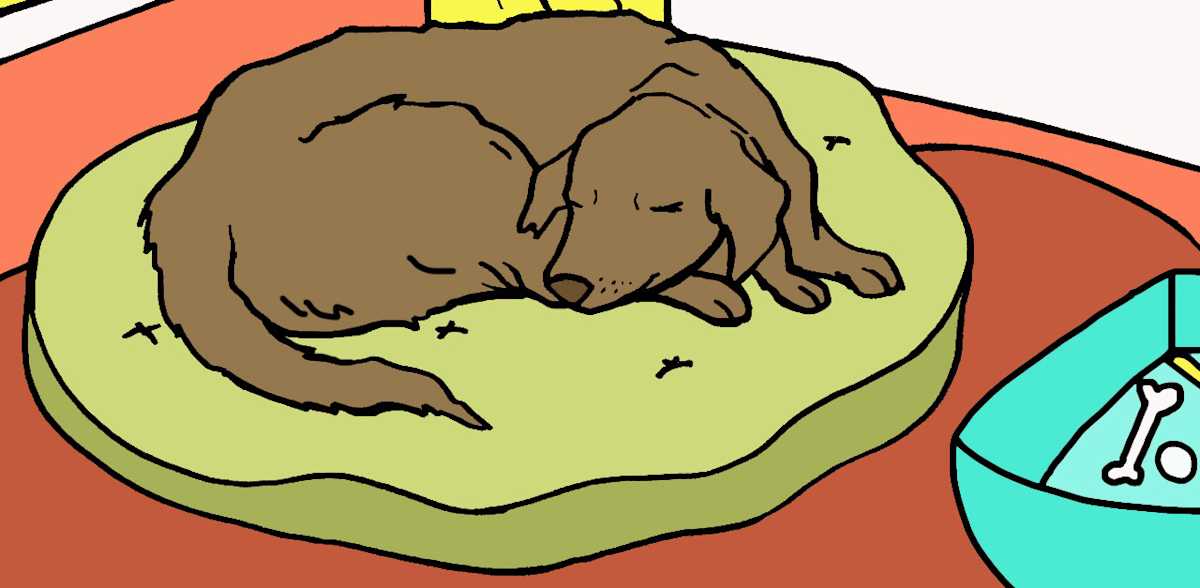 Why Do Dogs Sleep So Much And What Is Normal LittleThings Why do dogs sleep so much and what is normal littlethings