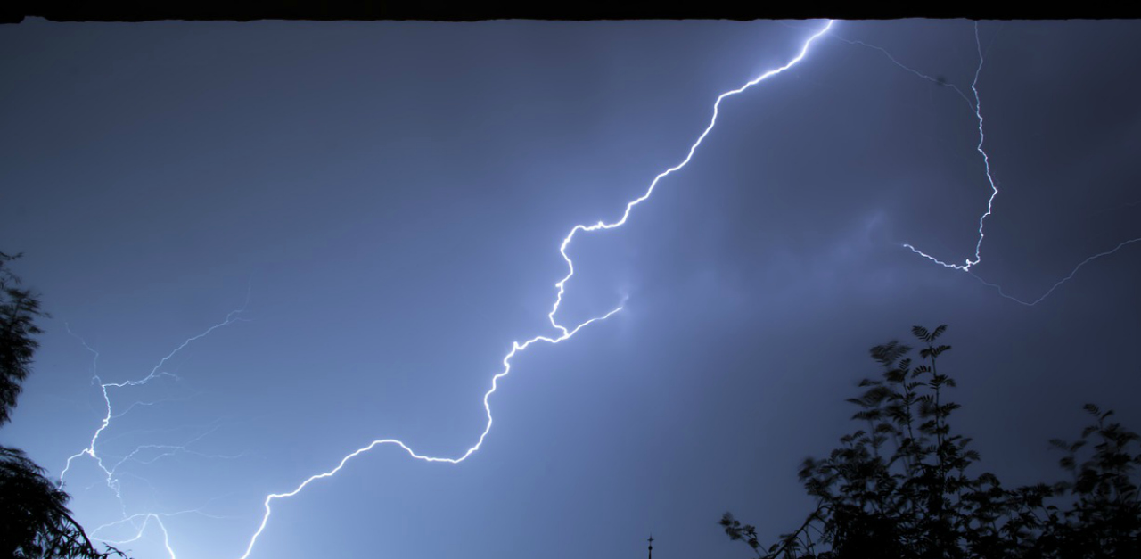 Dog Alerts Family That Girls Were Struck By Lightning