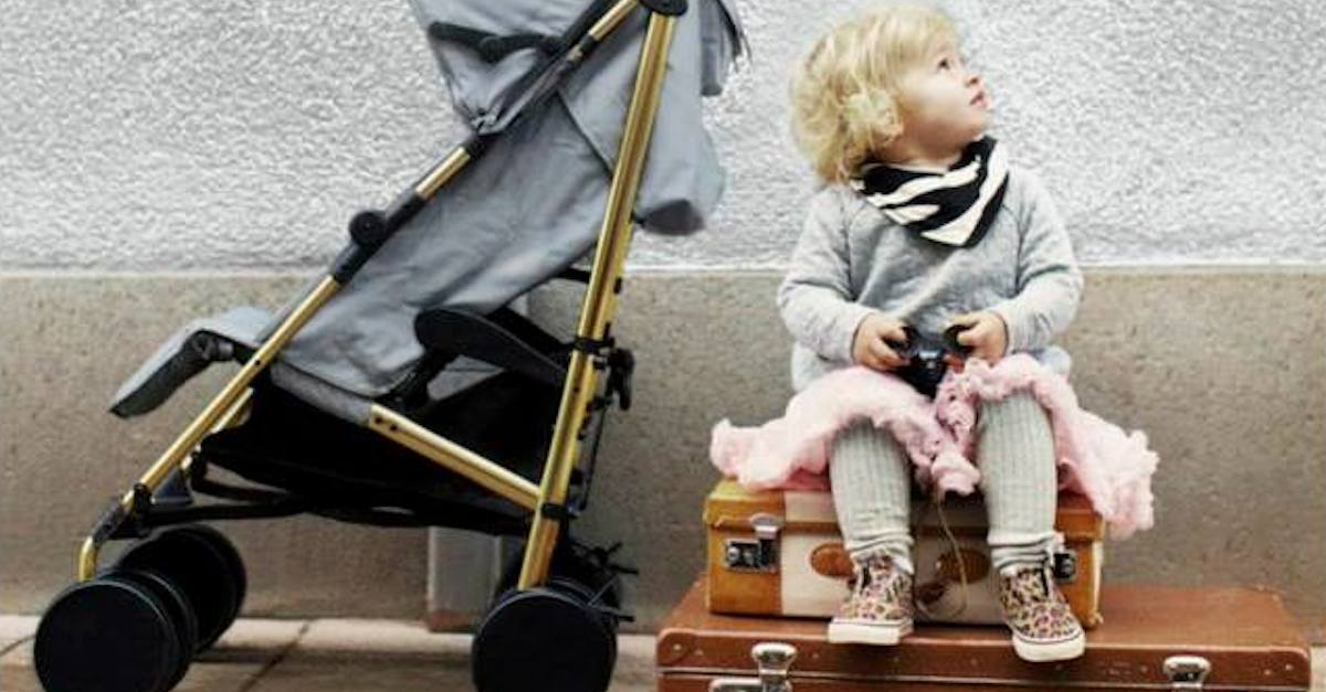 average stroller cost