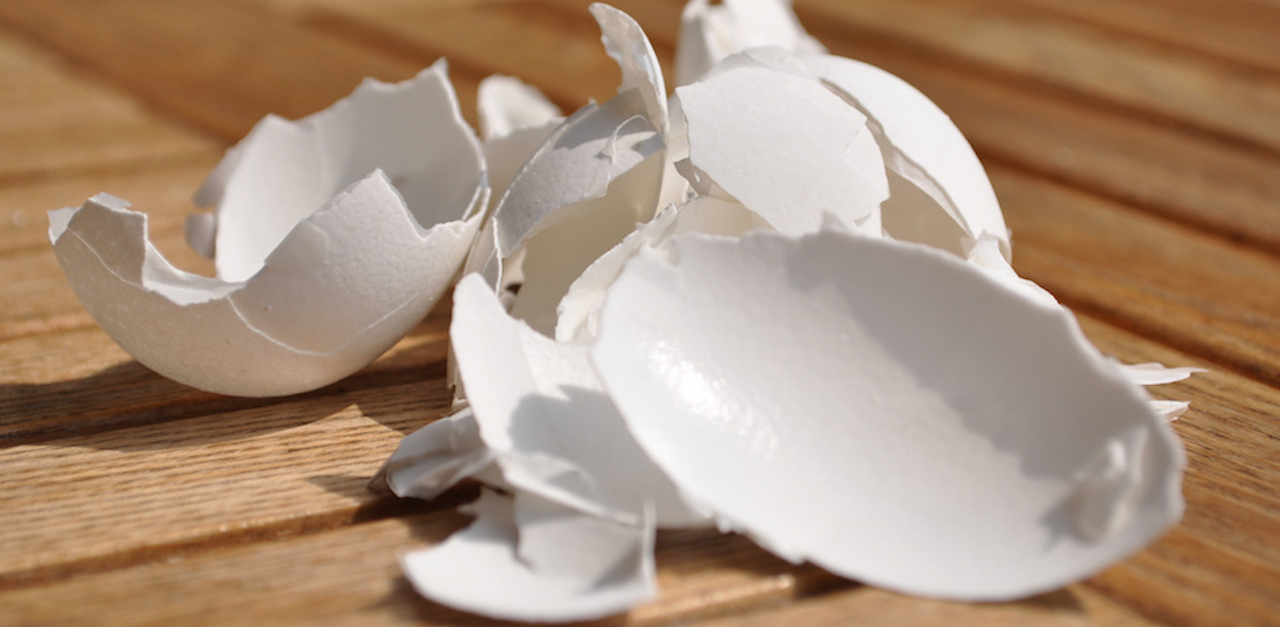 What Are Eggshells Good For? 11 Surprising Uses