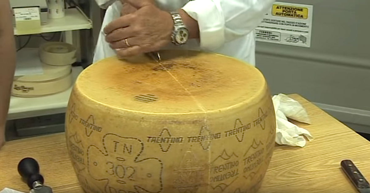 Watch This Guy Break Open A Giant Cheese Wheel, Because It's