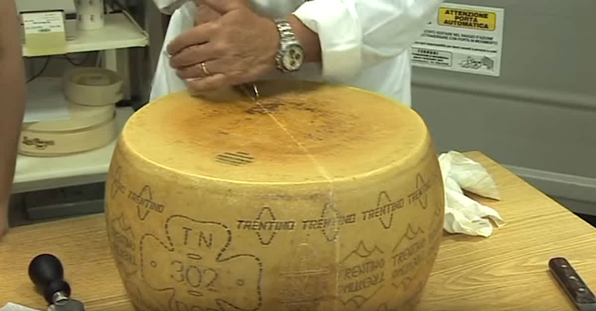 Watch This Guy Break Open A Giant Cheese Wheel, Because It's