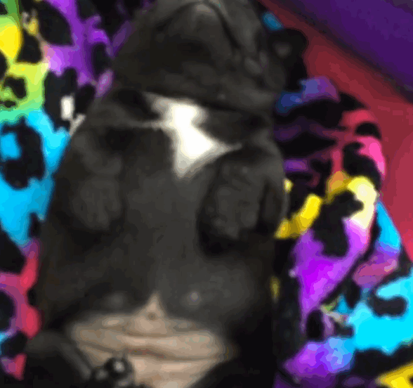 funnysleep
