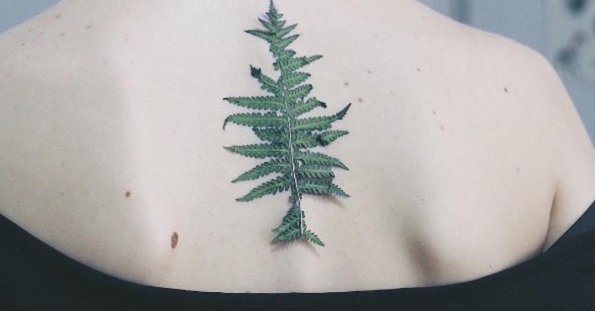 simple fern tattoo outline  Fern tattoo Tattoos Tattoos for guys