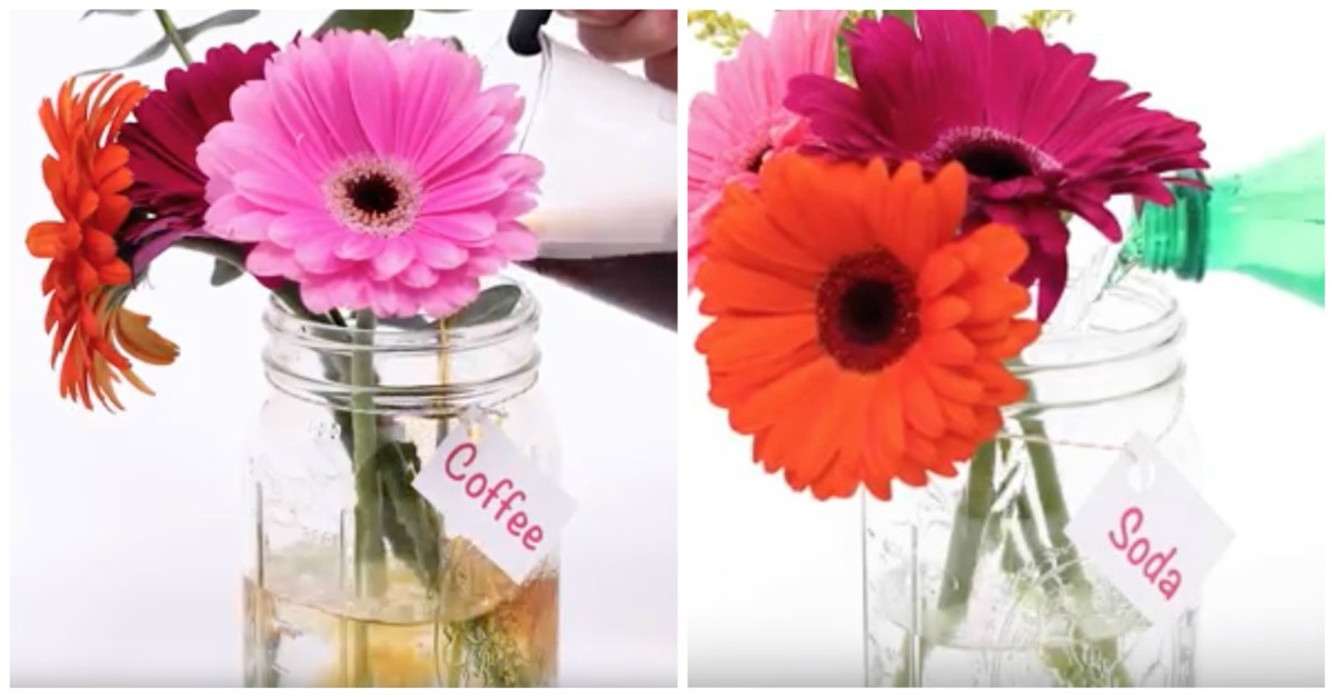 What's The Best Way To Keep Flowers Fresh The Longest?