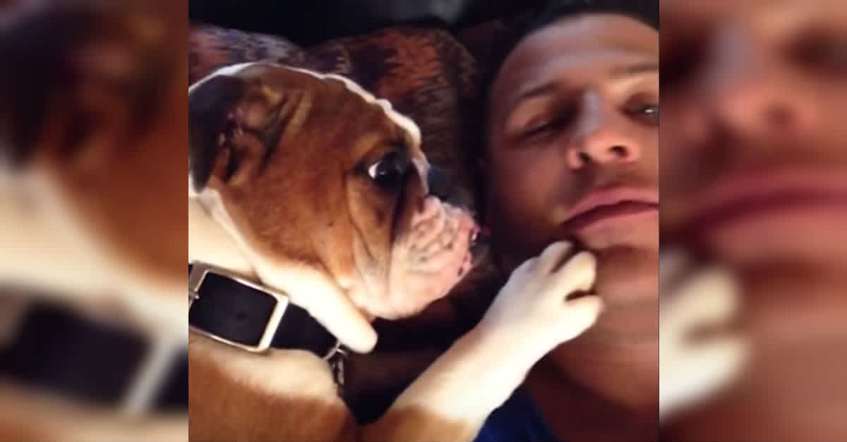 He Takes A Selfie With His Bulldog, But Watch Closely. I'm CRACKING Up! |  