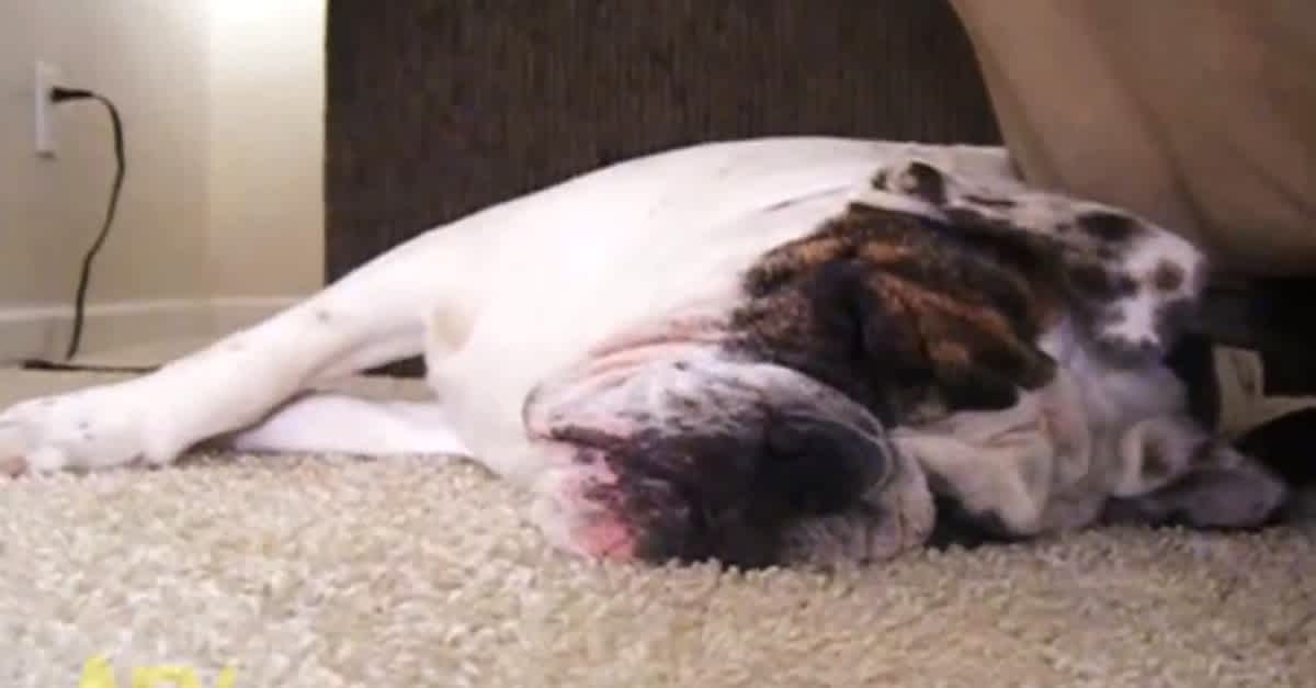 Wakey Wakey: Sleeping Dogs Gets A Release Date