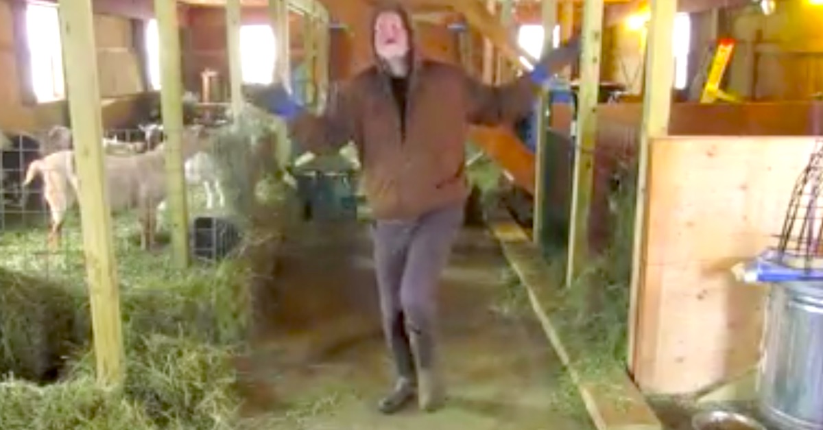 Farmer Sets Up Hidden Camera In His Barn, Then It Catches Him Tear Off ...