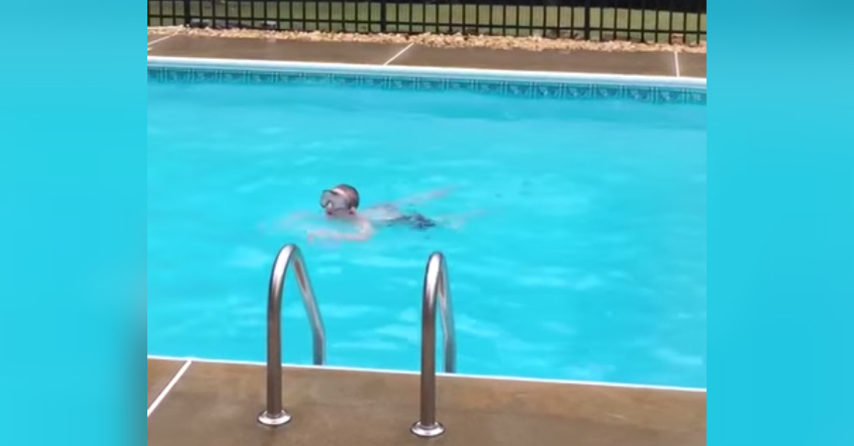 It Looks Like Her Son Is Alone In A Pool. But When Mom Sees THIS In The ...