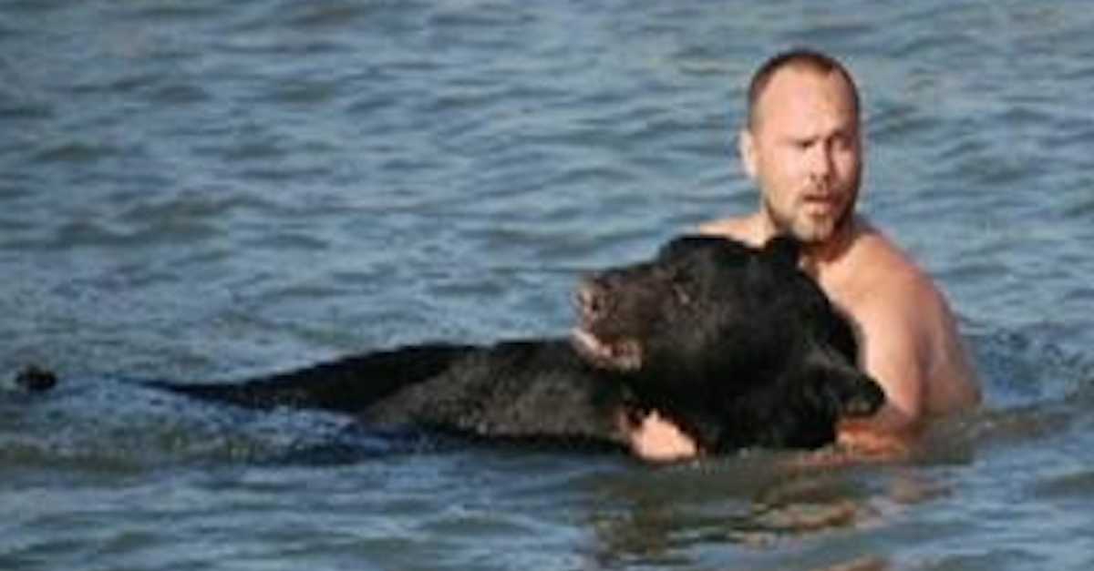 Photo) One Of The Most Dangerous Animals In The World Was Dying. What This  Hero Did Blew Me Away. 
