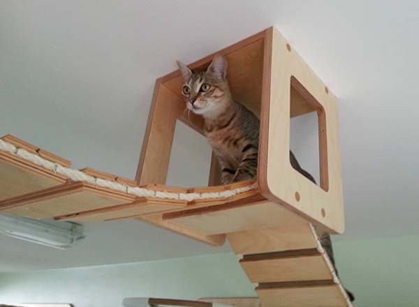 cat-furniture2