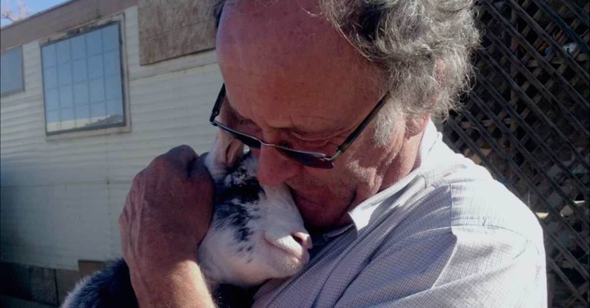 They Bring A DayOld Goat To His Door. Then He Looks Straight Into Her