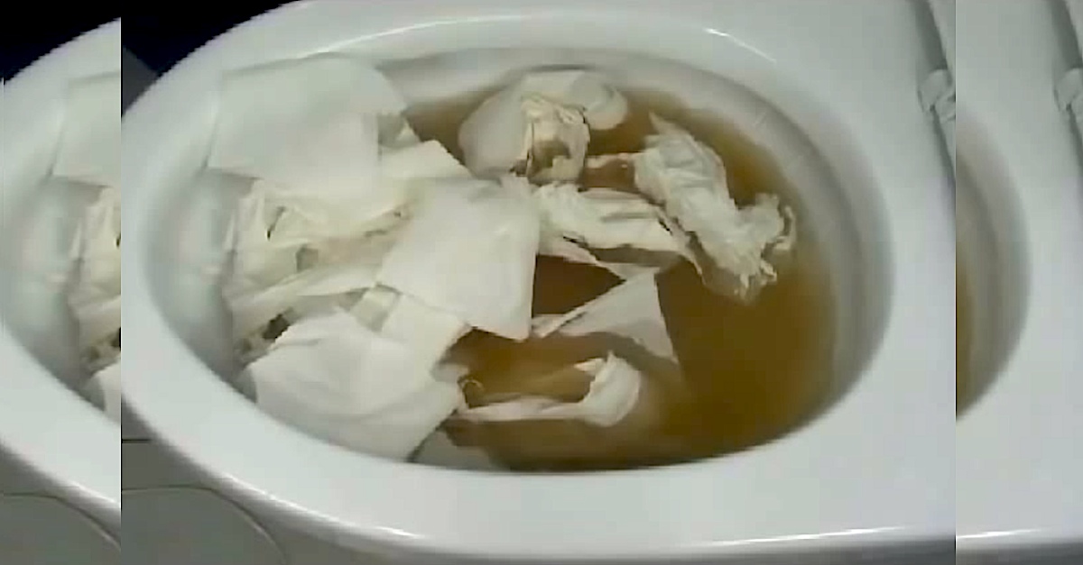 This Is How They Unclog Toilets In Korea — And It's Genius