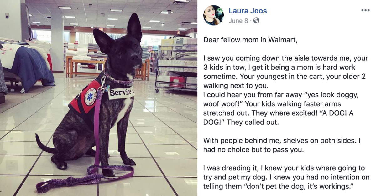 Mom Writes Facebook Message To Warn Moms About Kids Distracting Service Dogs  