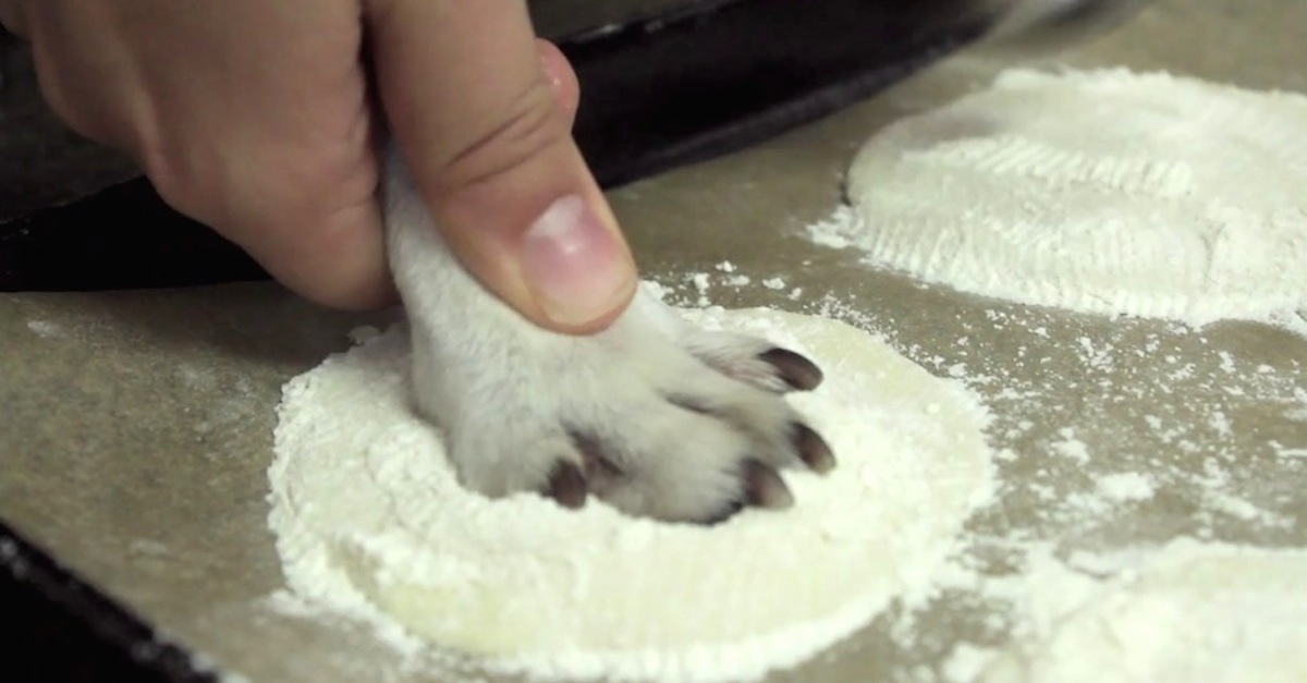 She Pushes Her Dog's Paw Into Dough. The Reason Why May Surprise You