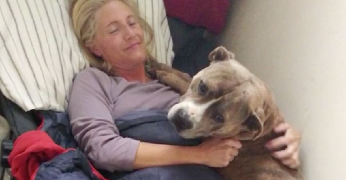 epics pit bull rescue