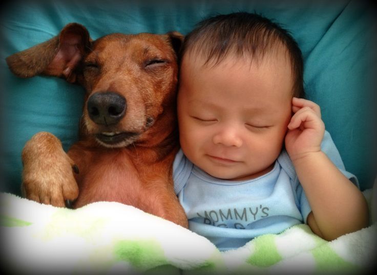 babypuppy7