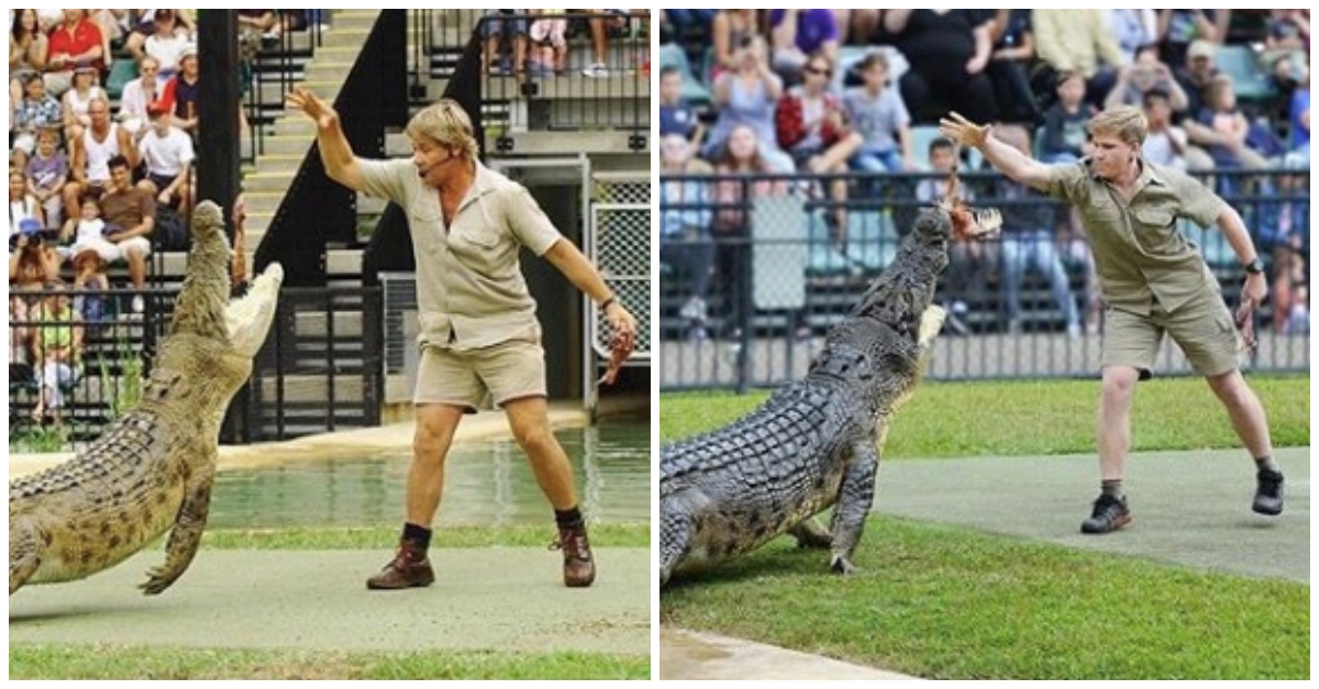 Robert Irwin Looks Identical To Steve Irwin In Side By Side Photos Littlethings Com