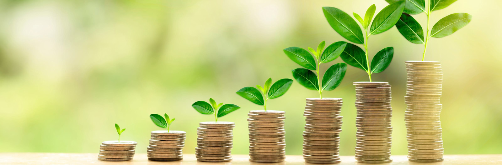 Anschubfinanzierung: Erklärung & Beantragung | FINANZCHECK.de