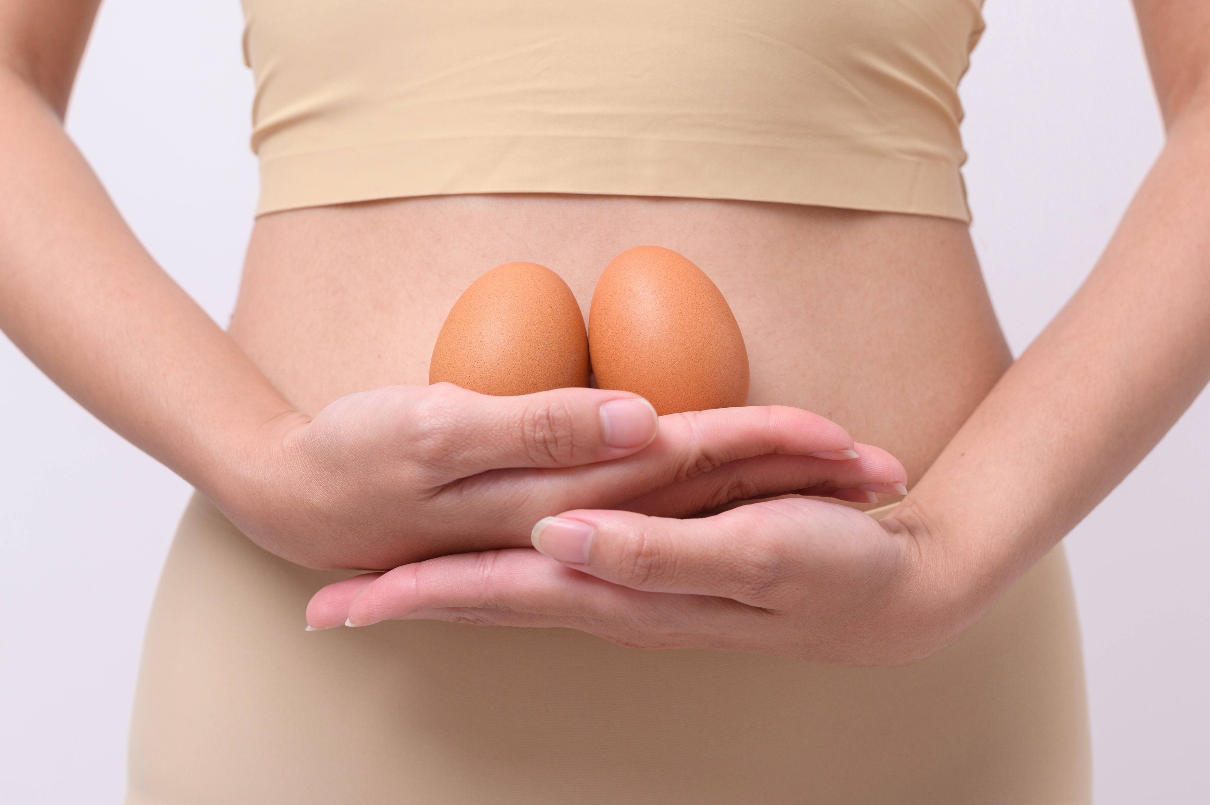 Egg Donor
