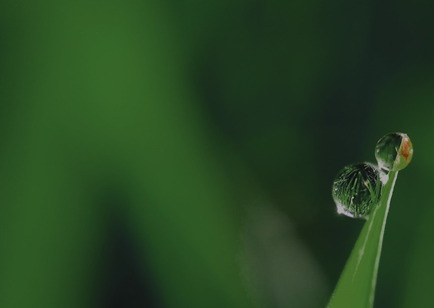 How To Start Taking Climate Action Compensate Webinar