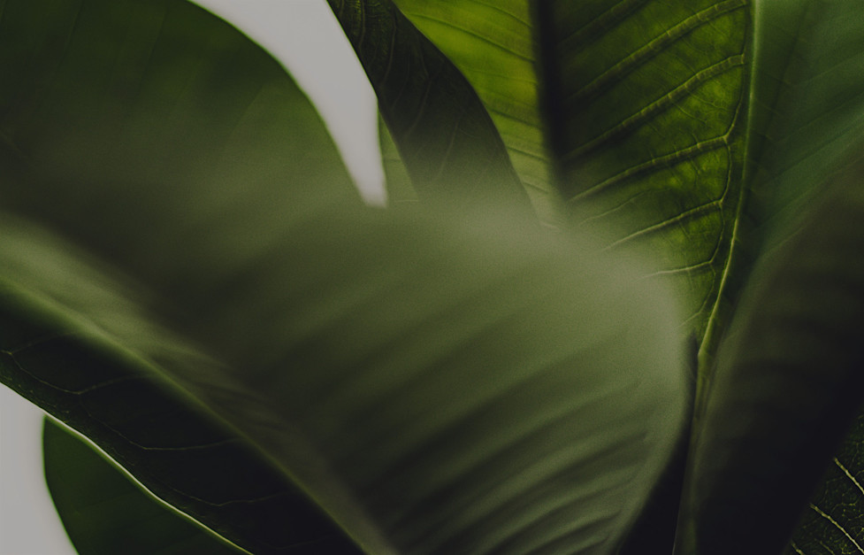 Beyond Value Chain Mitigation In Practice Download A Factsheet beyond-value-chain-mitigation-in-practice-download-a-factsheet