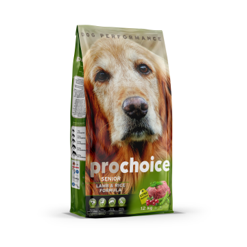 Irresistably Delicious And Healthy Dog Recipes Prochoice Prochoice Petfood