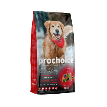 Irresistably Delicious And Healthy Dog Recipes Prochoice Prochoice Petfood