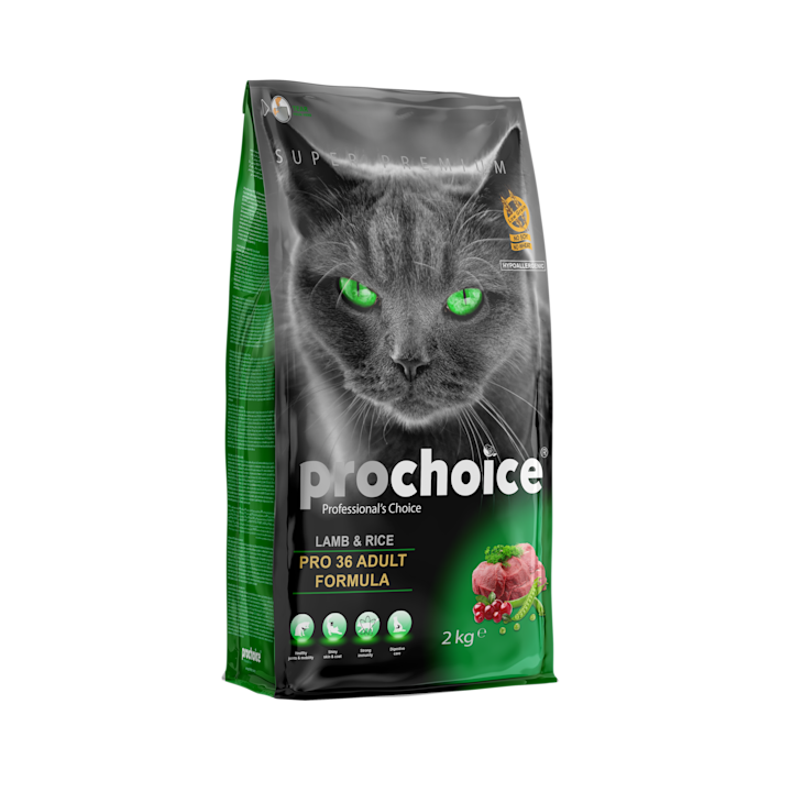 Irresistably Delicious Food Choices For Cats Prochoice Petfood