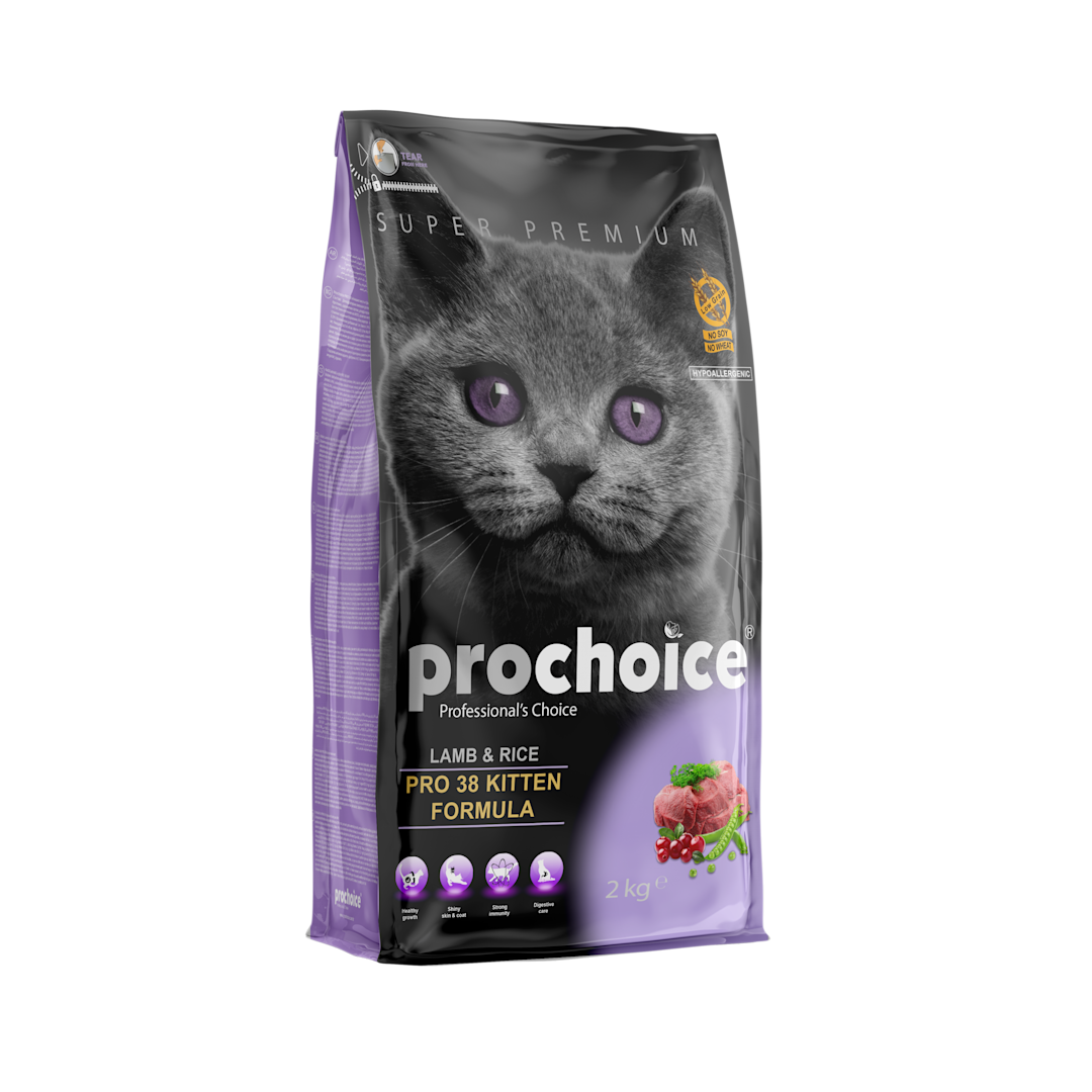 Irresistably Delicious Food Choices For Cats Prochoice Petfood